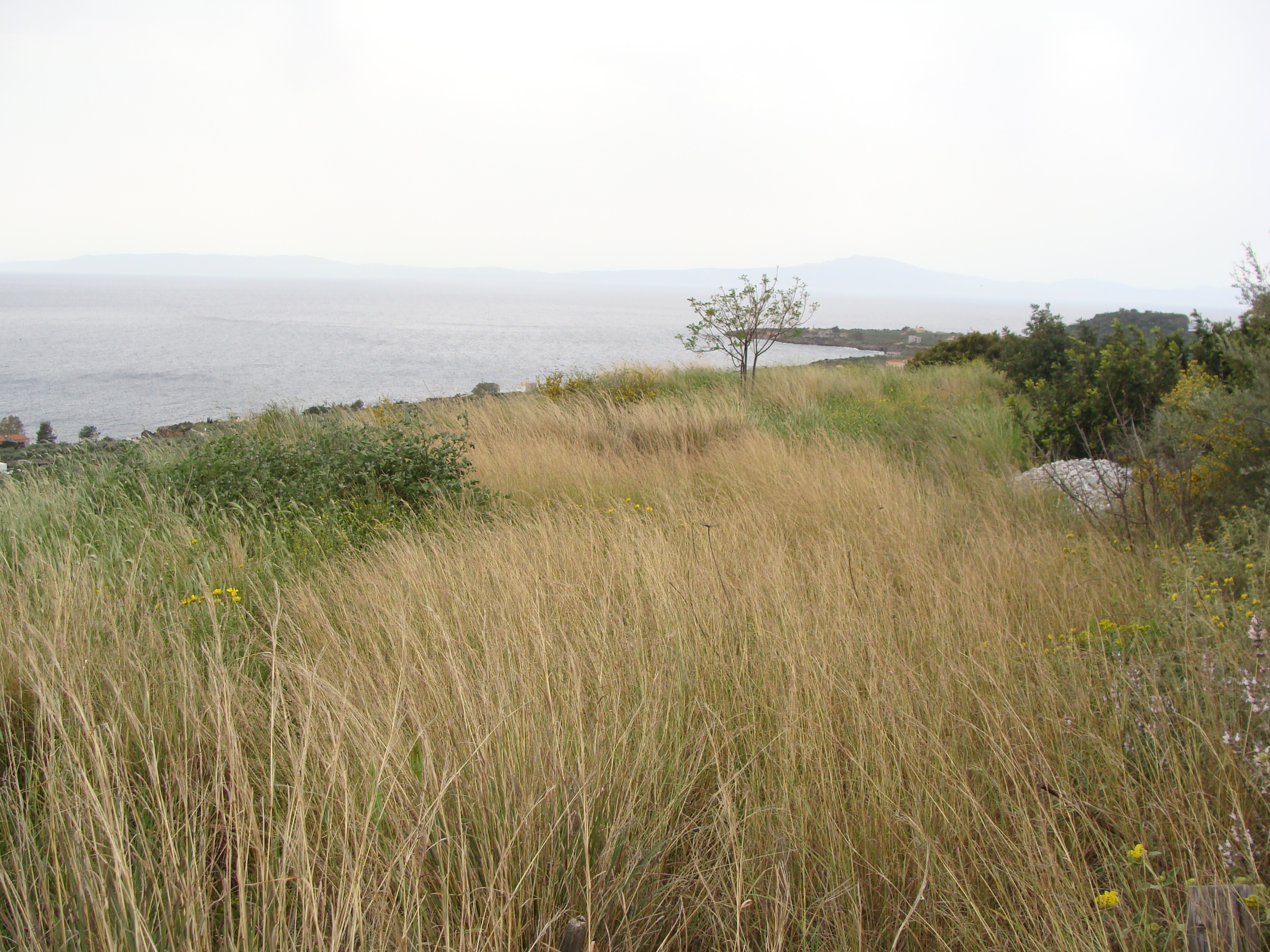 A particularly large plot divided in two buildable plots on a gradually sloping plateau over looking the traditional fishing village of Agios Nicholaos and Stoupa is set back & above the coastal road.