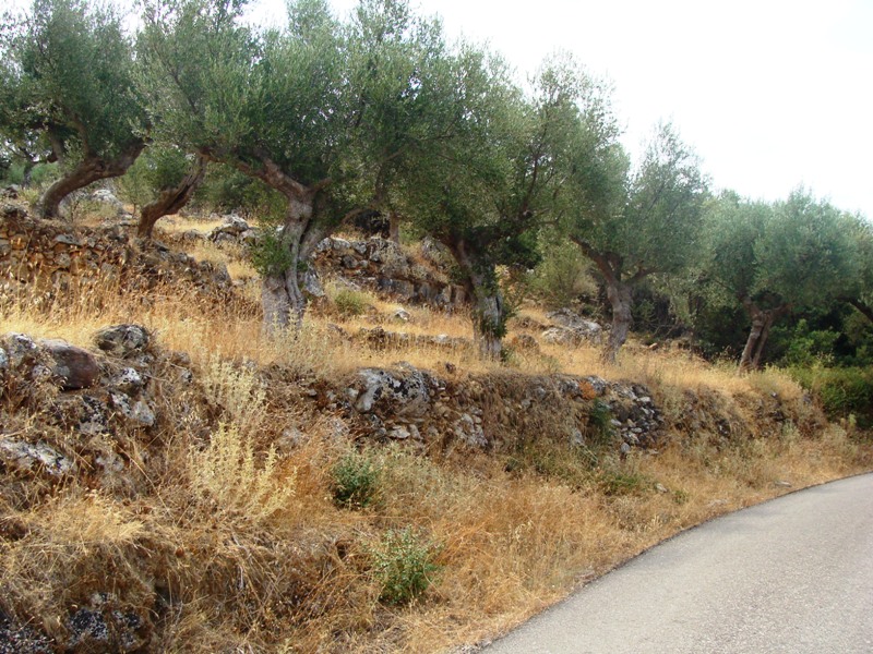 750m2 of building land facing the road leading from Proastio to Neochorio and cornering with footpath which also leads to Saidona.