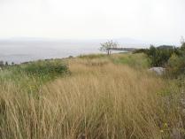A particularly large plot divided in two buildable plots on a gradually sloping plateau over looking the traditional fishing village of Agios Nicholaos and Stoupa is set back & above the coastal road.
